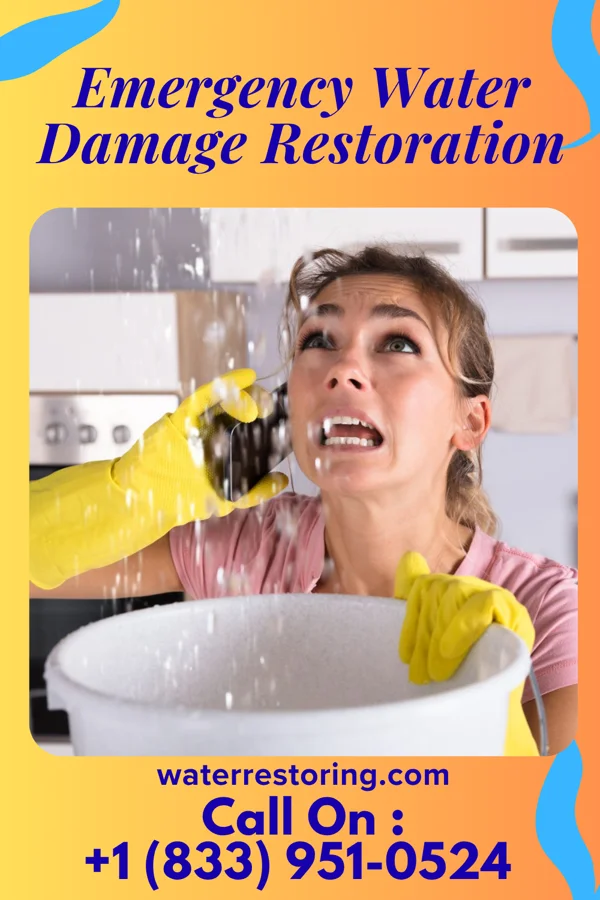 Emergency Water Damage Restoration in Feather Sound, FL